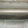 Anping Hexagonal wire mesh/chicken mesh BEST SALE